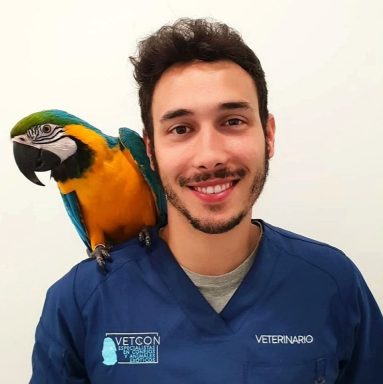 veterinario vetcon