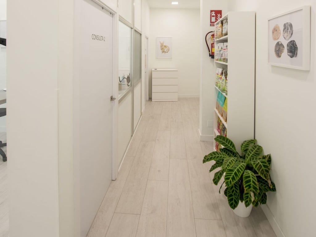 Instalaciones veterinarias para animales exóticos