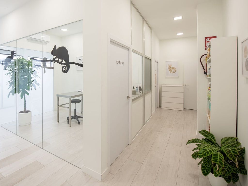Instalaciones veterinario exóticos en Madrid