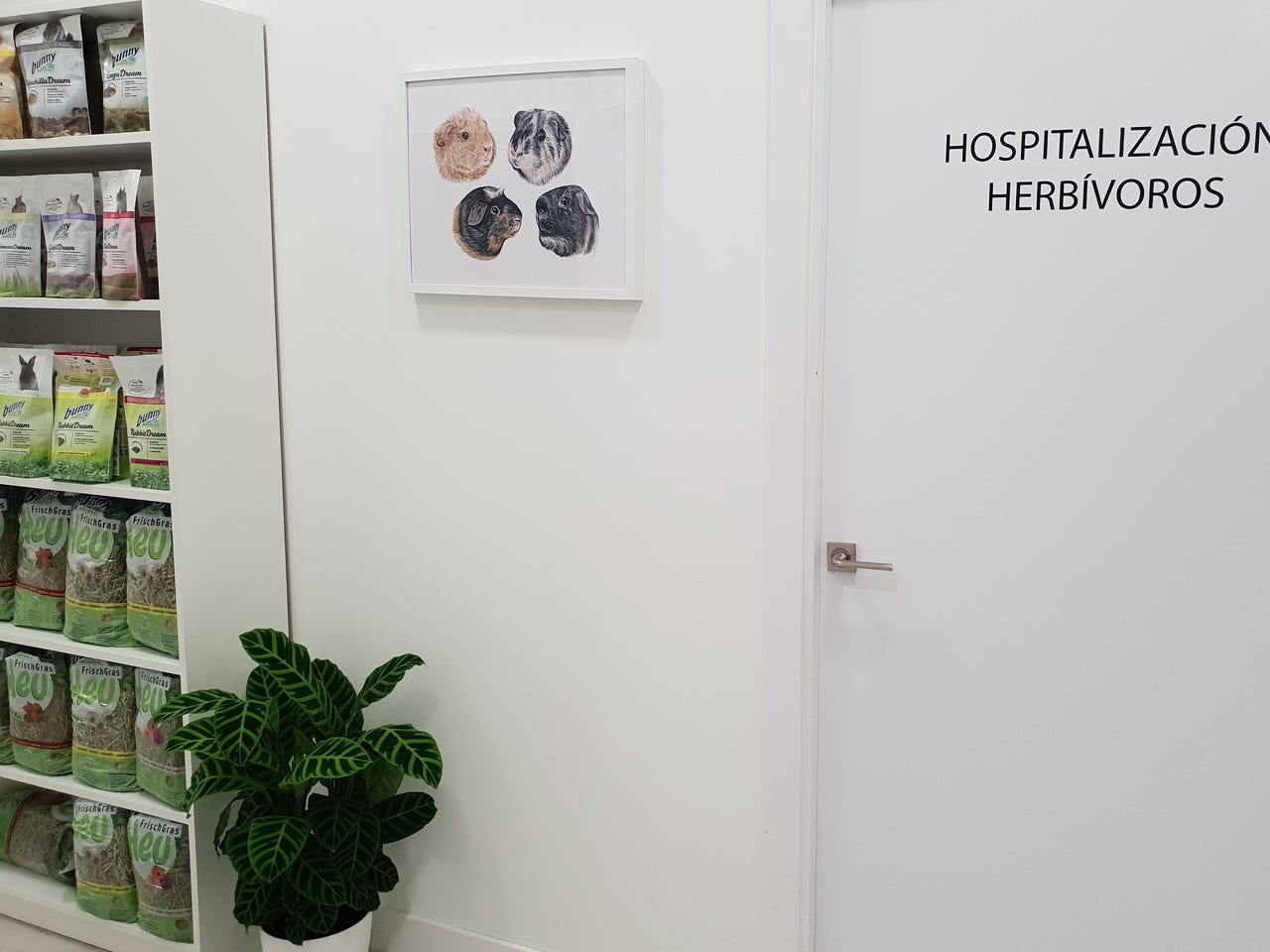 Instalaciones: Hospitalización de Herbívoros