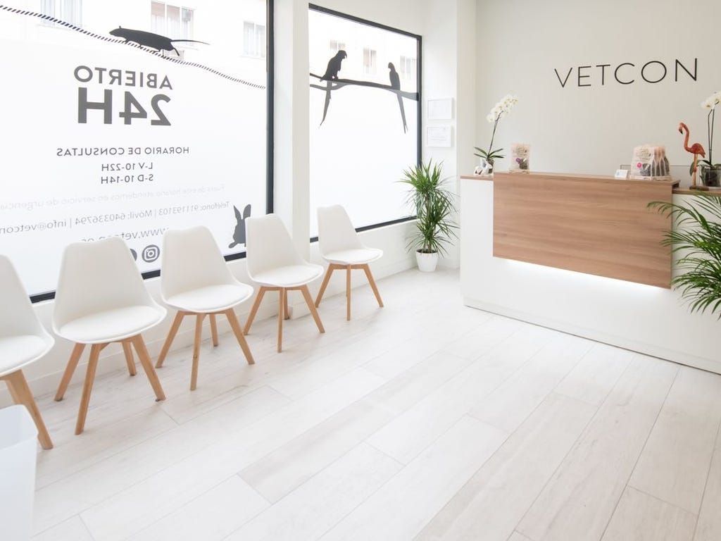Recepción Vetcon: Clínica de Animales exóticos en Madrid