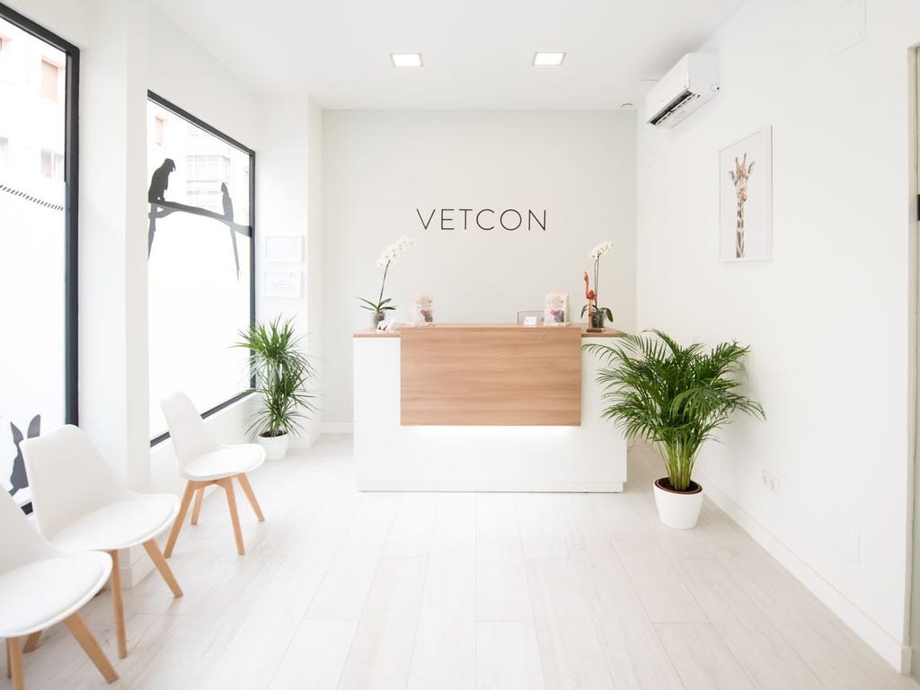 Recepción Animales exóticos en Madrid