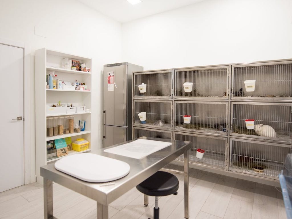 Instalaciones Vetcon: Residencia de animales exóticos