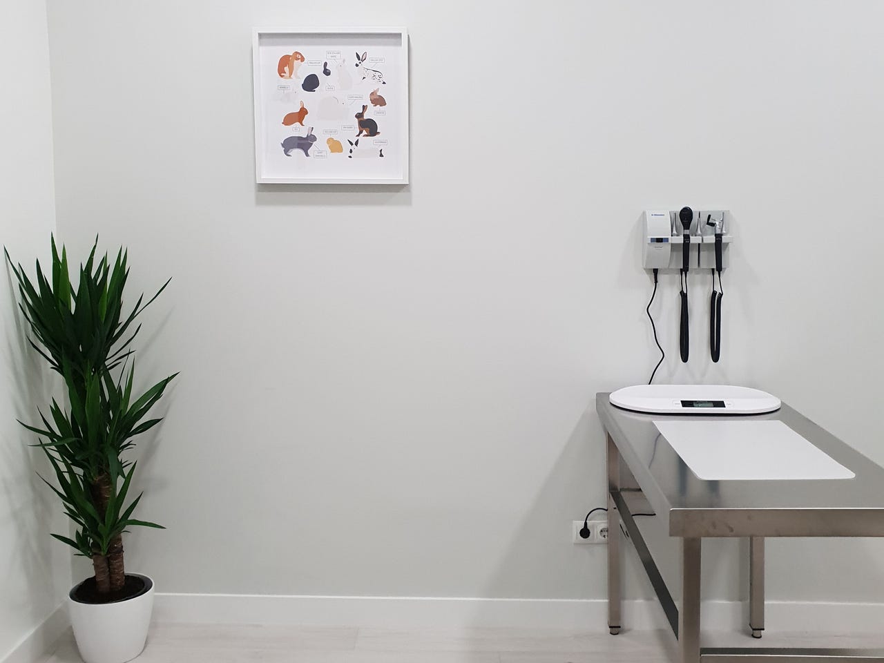 Instalaciones vetcon: mascotas exóticas