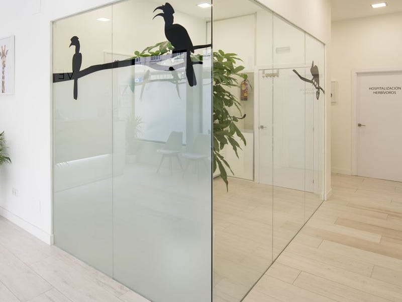 Instalaciones: Consulta especializada aves exóticas