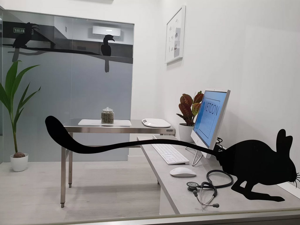 instalaciones veterinario exoticos madrid - vetcon