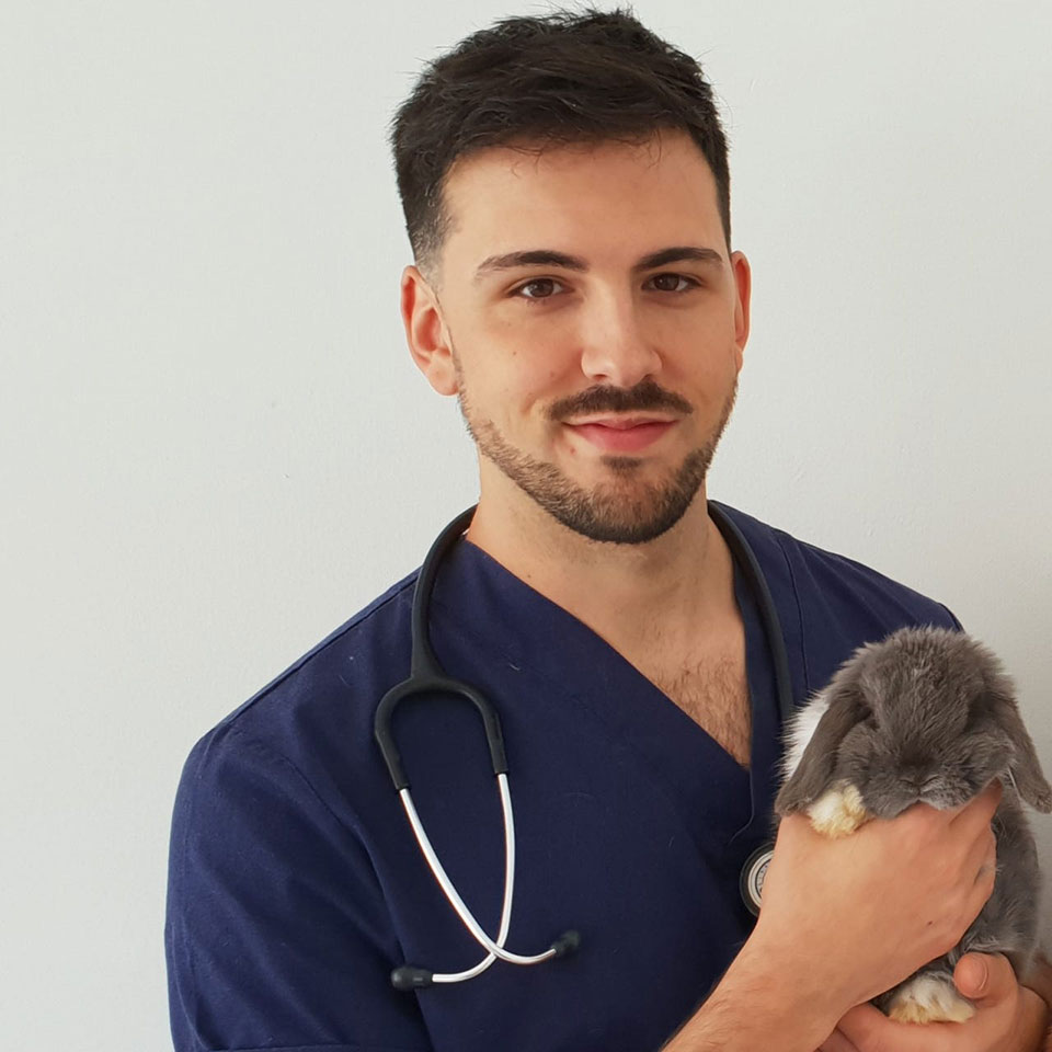 Adrián Contreras: veterinario exóticos