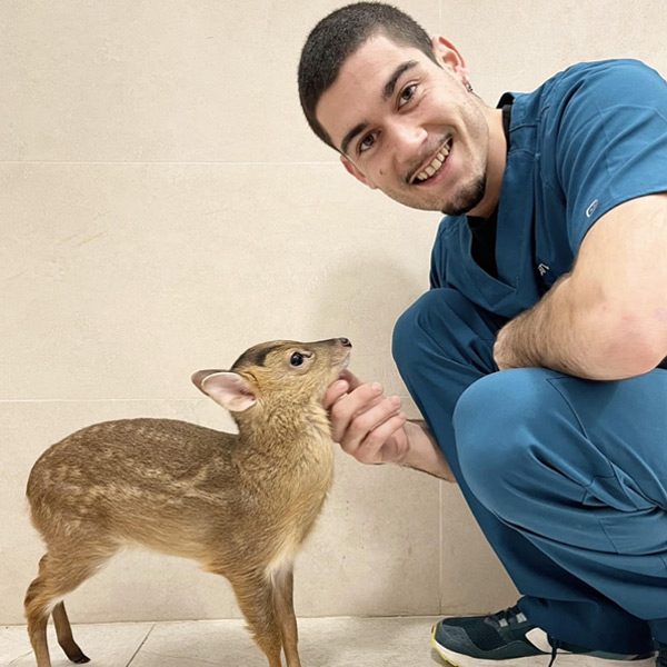 Auxiliar veterinario Alejandro Quintas Rico