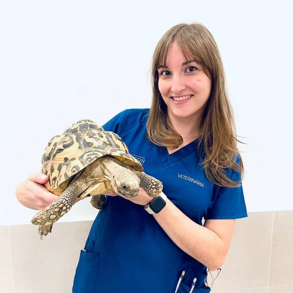 Veterinaria María Villa