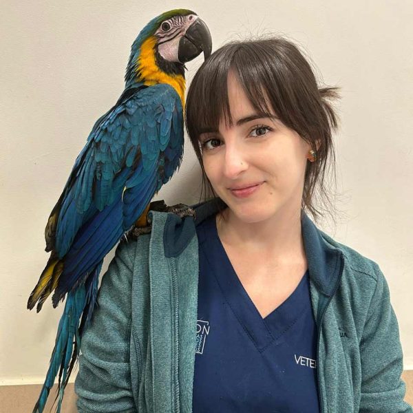 Veterinaria Sonia Castañón