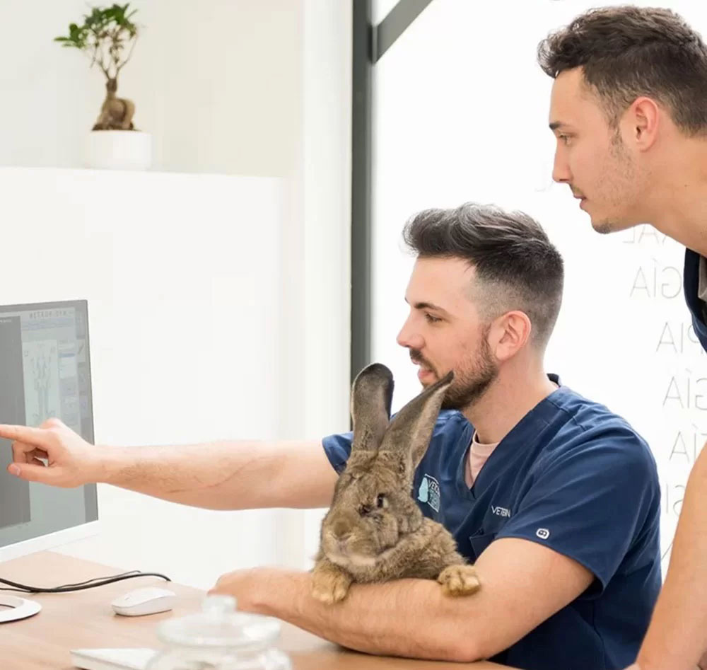 Cirugía de tejidos blandos